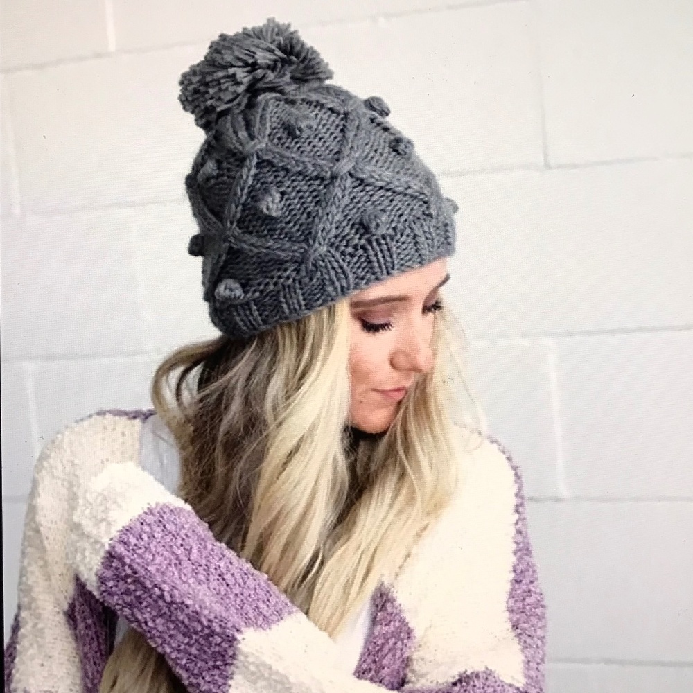 THREE BIRD NEST Ruggine Pommed Beanie Hat Gray NWT